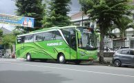 macam macam bis pariwisata